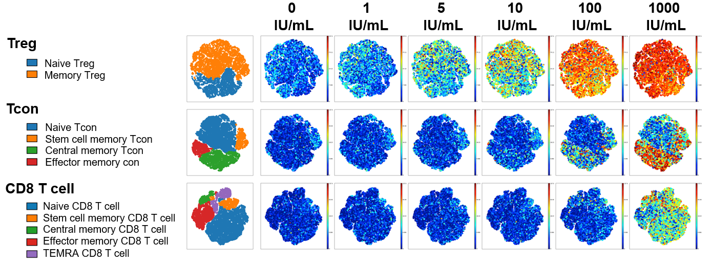 Gels from Reducing and Non-reducing SDS-PAGE visibly show Akron rHu IL-2 purity equal to, if not greater than, Proleukin®