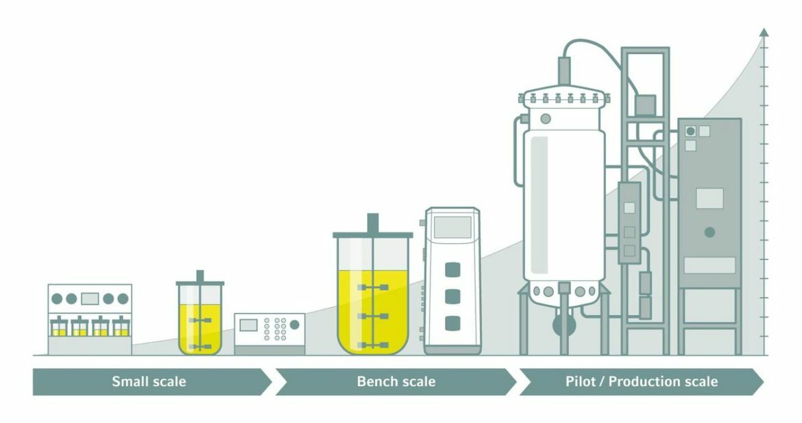 Manufacturing scale-up